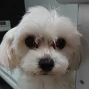 くるとの画像