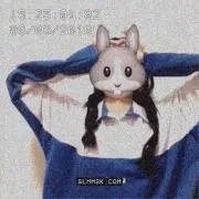めいの画像