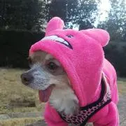 ヒロ