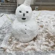 ピザ
