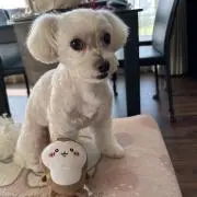 れなの⭐︎断捨離中の画像