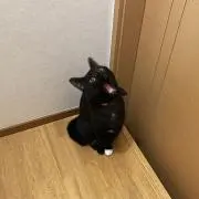 かき