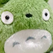 ふみこの画像
