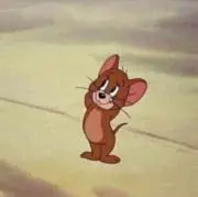 maasaの画像