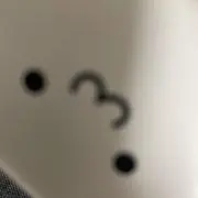 飛べるニワトリの画像
