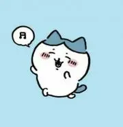 ぽんの画像