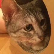 へーこの画像