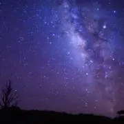 もちの画像