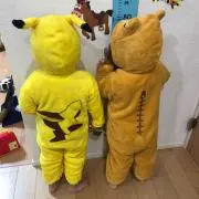 Gaelの画像