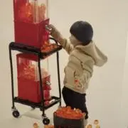 はるの画像