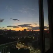 ぽんまるの画像