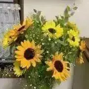 のんのんの画像