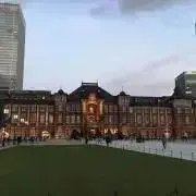 SoYFの画像