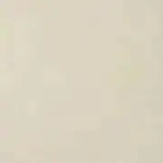 ちゃ