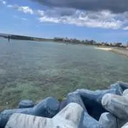 aの画像