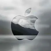 DKTの画像