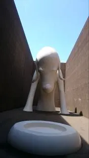 アルパカの画像