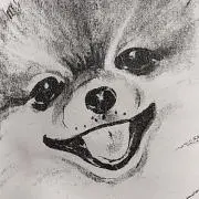 P/購入前にコメントくださいプロフ必読