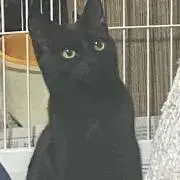 みう^_   ̫  _ ^の画像