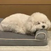 RAMBO-0610