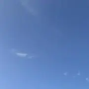 スの画像