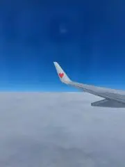 NONIの画像