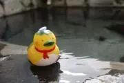 ナノデスの画像