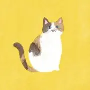 ねこの画像