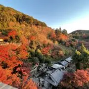 鴨サブレー