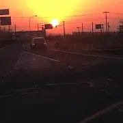 もぐろの画像