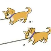 nimiの画像
