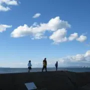 hijiriの画像