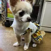 かなっちの画像