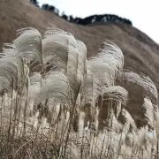 R※プロフ必読の画像