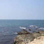アスランの画像
