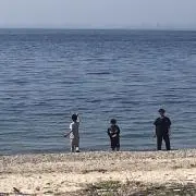 takeitの画像