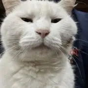 みさみさの画像