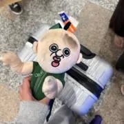 ぴの画像