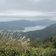 凪