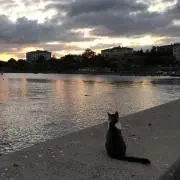 ナイトの画像
