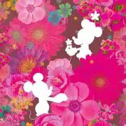 すっこ