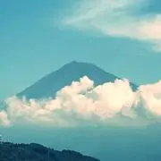じん