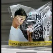 ピナピナの画像