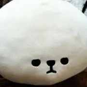73-noriの画像