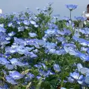 めいの画像
