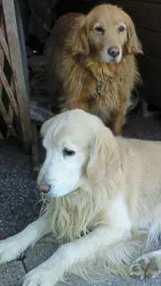 keiの画像