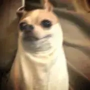 るちー