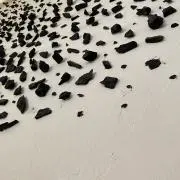 即購入可　多数出品中の画像