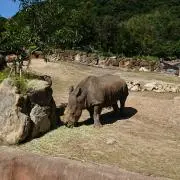 shuhei1173の画像