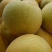 gontaの画像